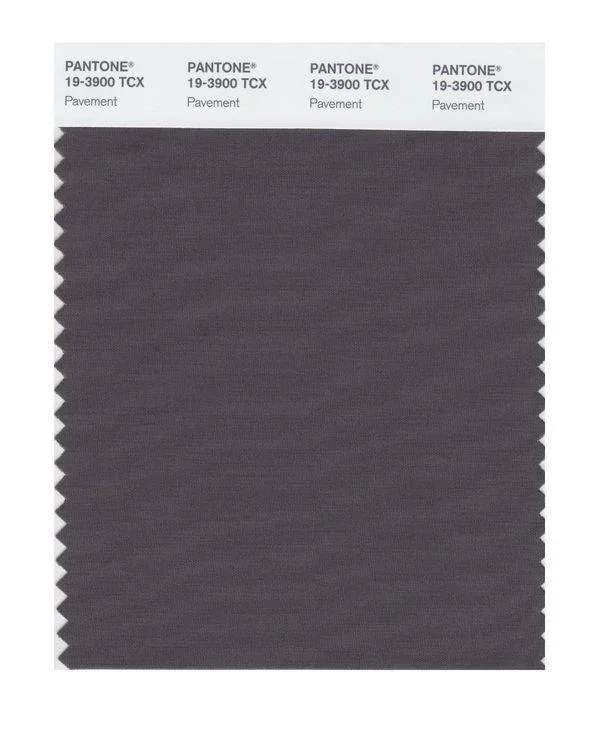 Pantone Smart 19-3900 TCX Color Swatch Card | Pavement