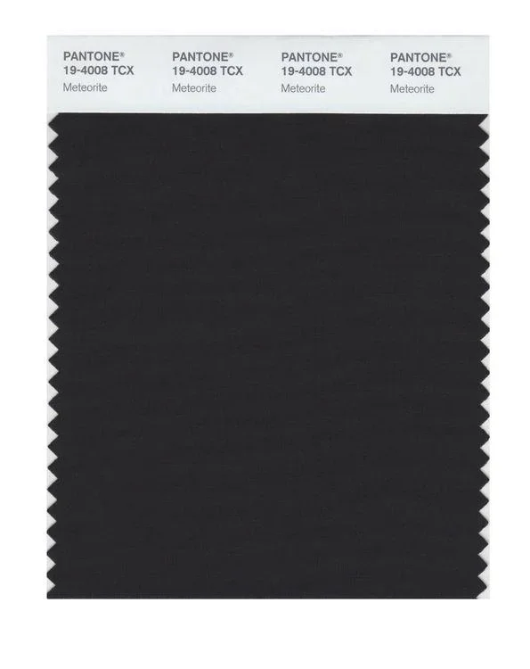 Pantone Smart 19-4008 TCX Color Swatch Card | Meteorite