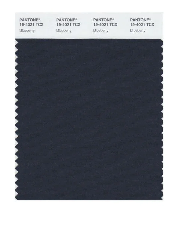 Pantone Smart 19-4021 TCX Color Swatch Card | Blueberry