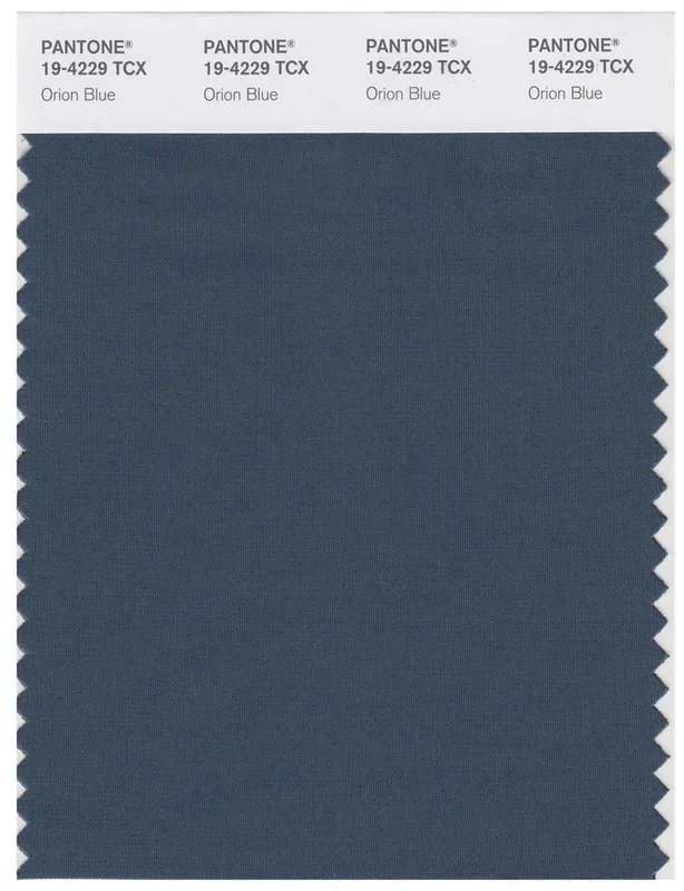 Pantone Smart 19-4229 TCX Color Swatch Card | Orion Blue