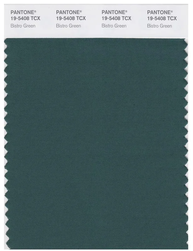 Pantone Smart 19-5408 TCX Color Swatch Card | Bistro Green