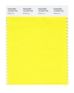 Pantone Swatch 12-0752 TCX Color Swatch Card