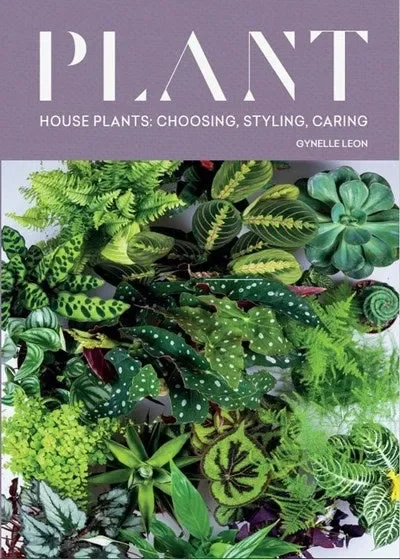 Plant : House plants: choosing, styling, caring