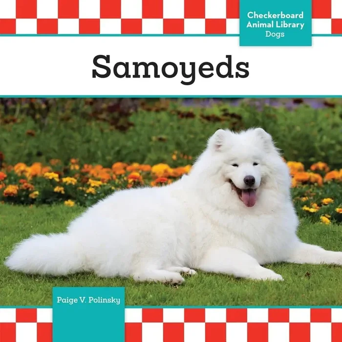 Samoyeds