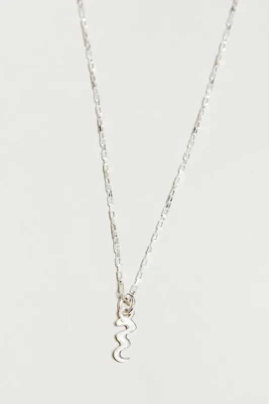 Silver Charm Snake Necklace