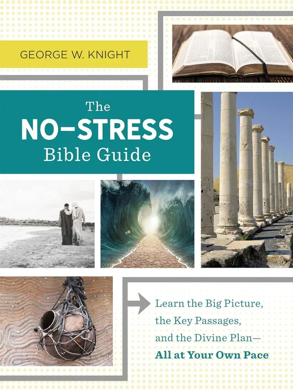The No-Stress Bible Guide: Learn the Big Picture, the Key Passages, and the Divine Plan―All at Your Own Pace