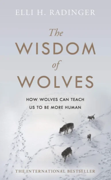 The Wisdom of Wolves: How Wolves Can Teach Us to Be More Human