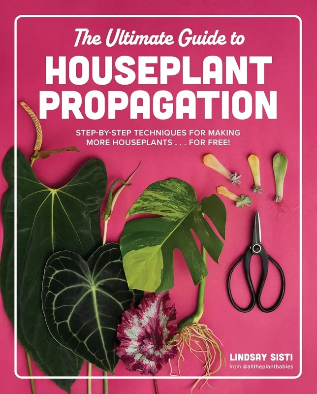 Ultimate Guide to Houseplant Propagation: Step-By-Step Techniques for Making More Houseplants . . . for Free!