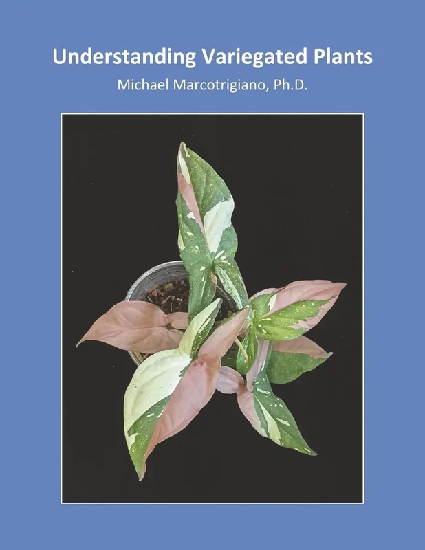 Understanding Variegated Plants