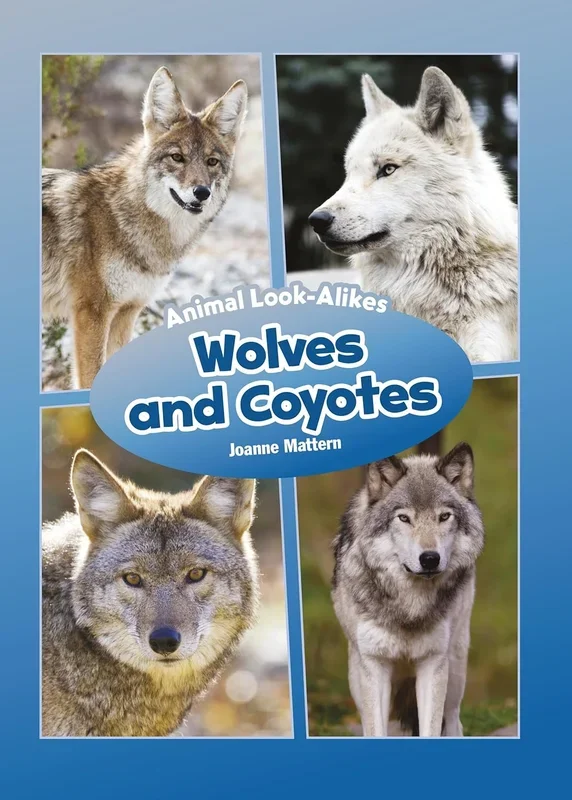 Wolves and Coyotes: Animal Look-Alikes