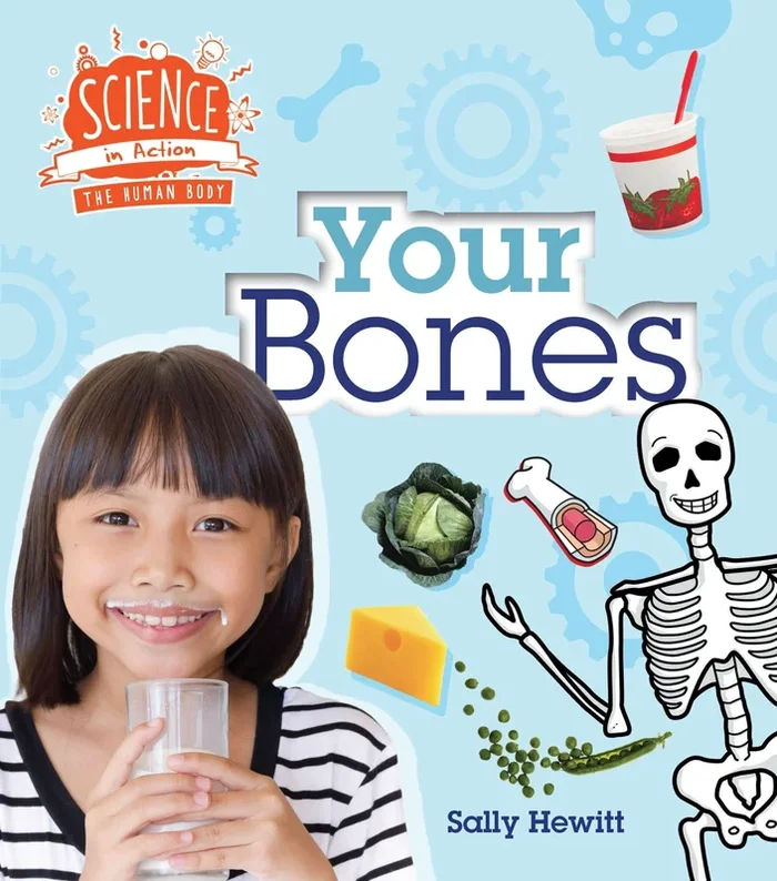 Your Bones: Science in Action the Human Body